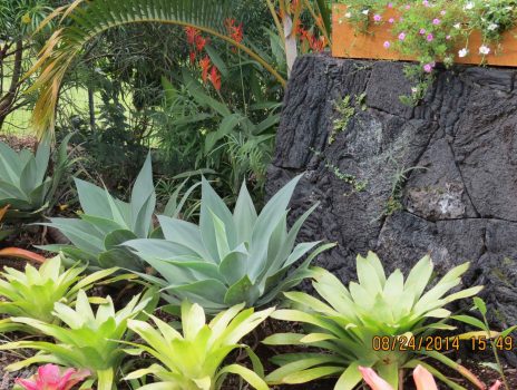 2014-08 Hawaii Mom & Dom 069