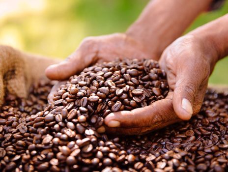 roasted-coffee-beens-queen-elizabeth-national-park